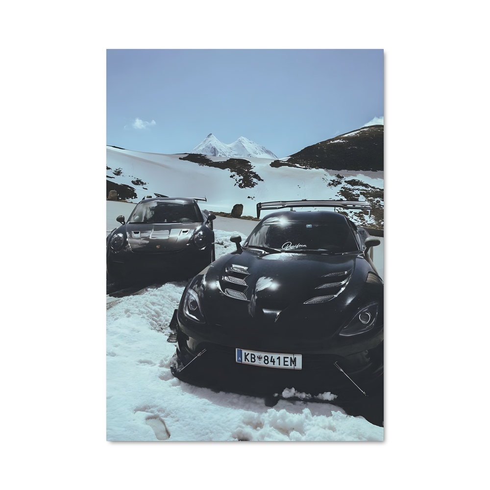 Poster Viper Noir dans la Neige